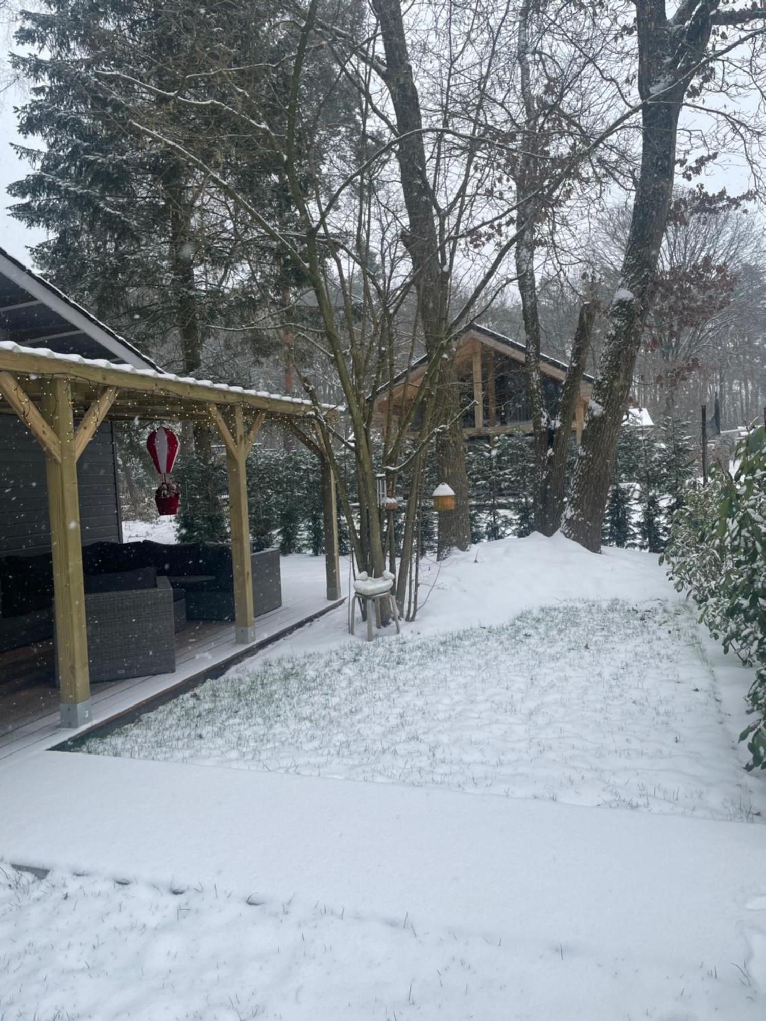 Chalet Sint-Hubertus Du Bois Zutendaal Εξωτερικό φωτογραφία
